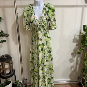 BHLDN Green and White Floral Maxi Dress